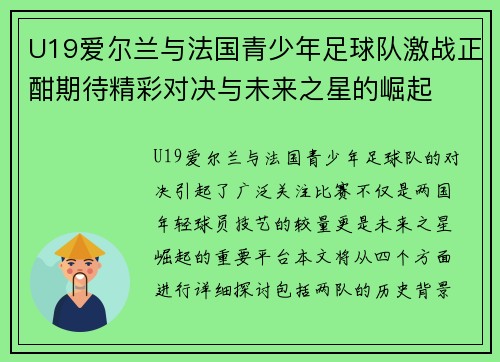 U19爱尔兰与法国青少年足球队激战正酣期待精彩对决与未来之星的崛起